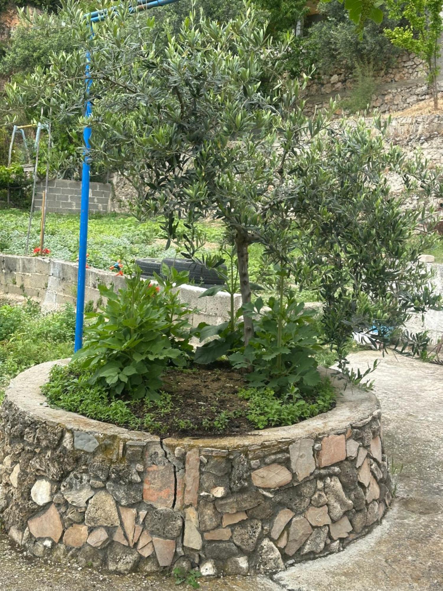 Guest house Romeo's 2 Piqeras